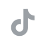 TikTok icon
