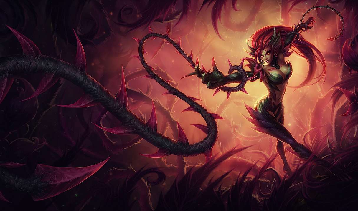 Zajímavé picky nové mety #1 - Zyra jungle